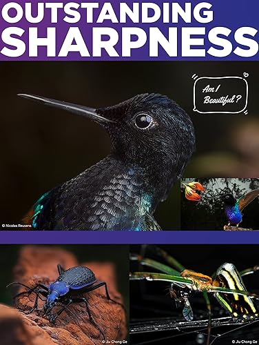 Miniatura 5 de Venus Laowa - Lente APO ultra macro de 3.543 in f/2.8 2X para cámara Sony E Mount sin espejo, color negro