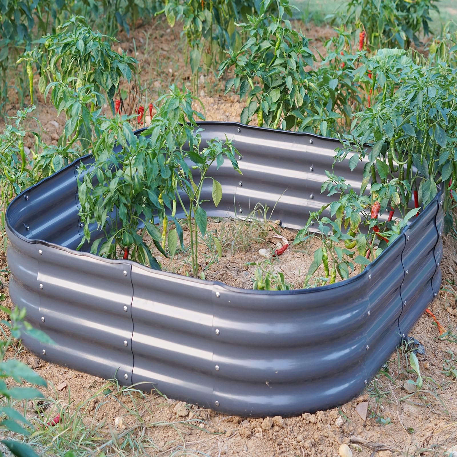 Gr8 Garden Outdoor Raised Planter Pot Metal Steel Vegetable Flower Herb Grow Bed Box (120cm x 120cm x 30cm, Square Grey Painted)