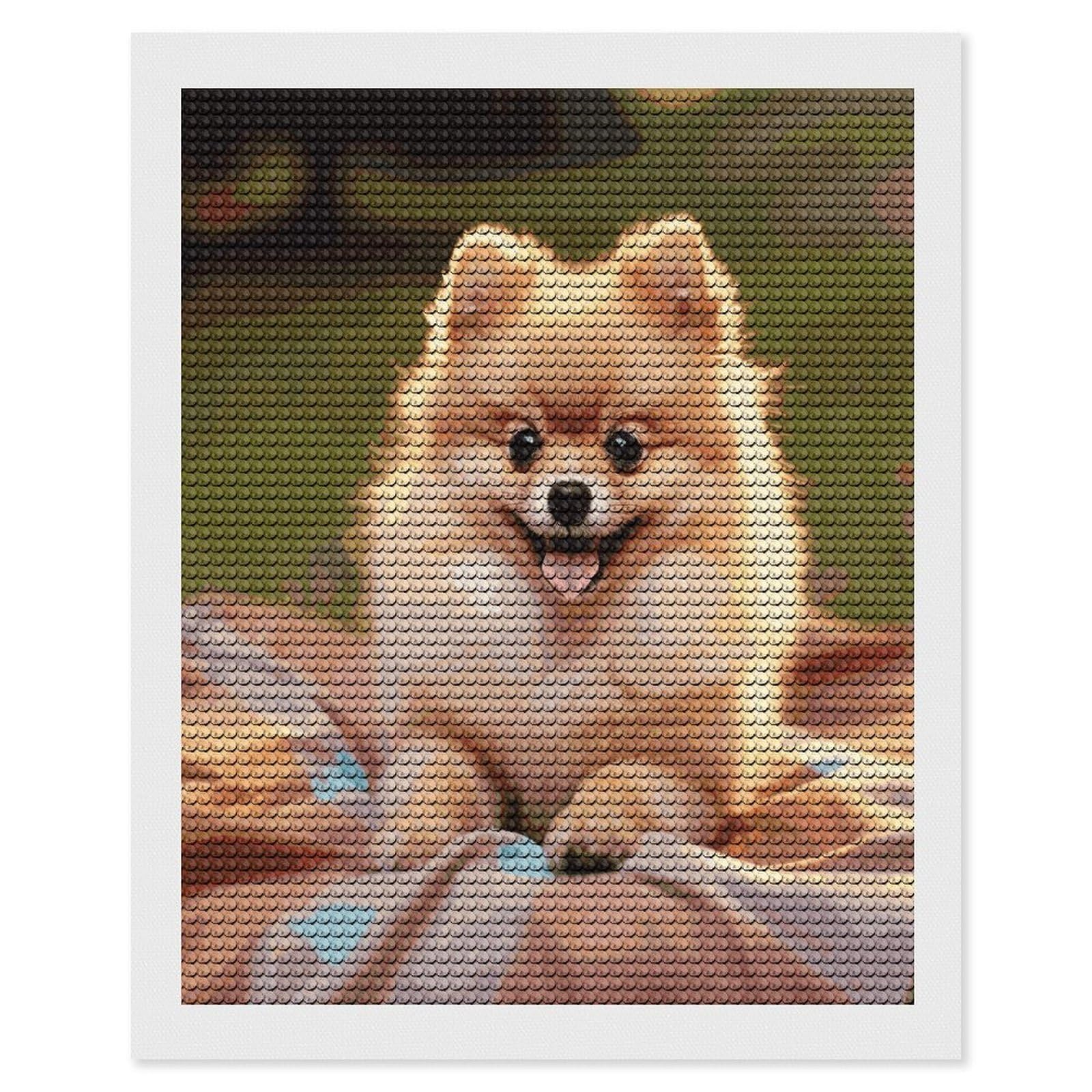 LDGSUPH Short-haired Pomeranian Diamond Painting Kits for Adults Paint with Diamond Pictures Art DIY Full Drill Diamond Dots Painting Personalized Diamond Photo for Home Wall Decor Gift 16"x20"