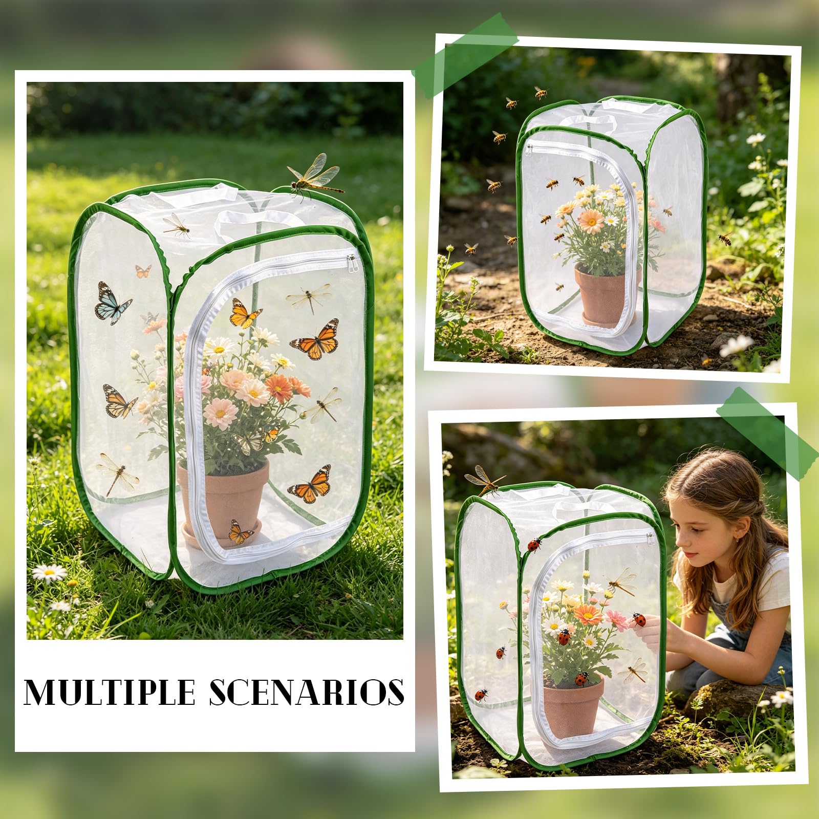 40 X 40 X 60 CM Kit Farfalle Gabbia Insetti Butterfly Kit Gabbia per Habitat Farfalla Terrari Pieghevole in Rete Habitat di Allevamento per Piante Insetti Educazione Scientifica