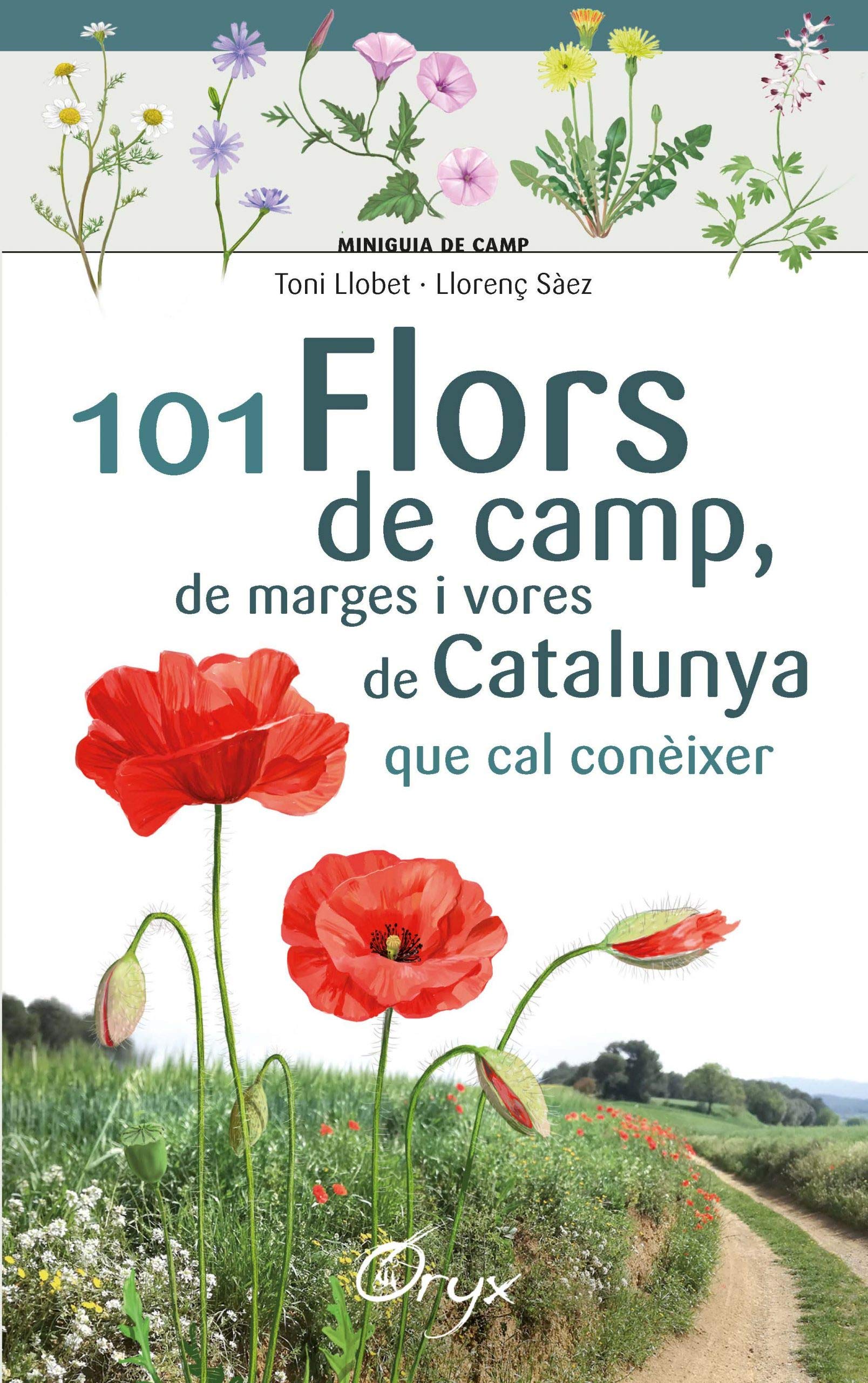 101 flors de camp, de marges i vores de Catalunya: que cal conèixer