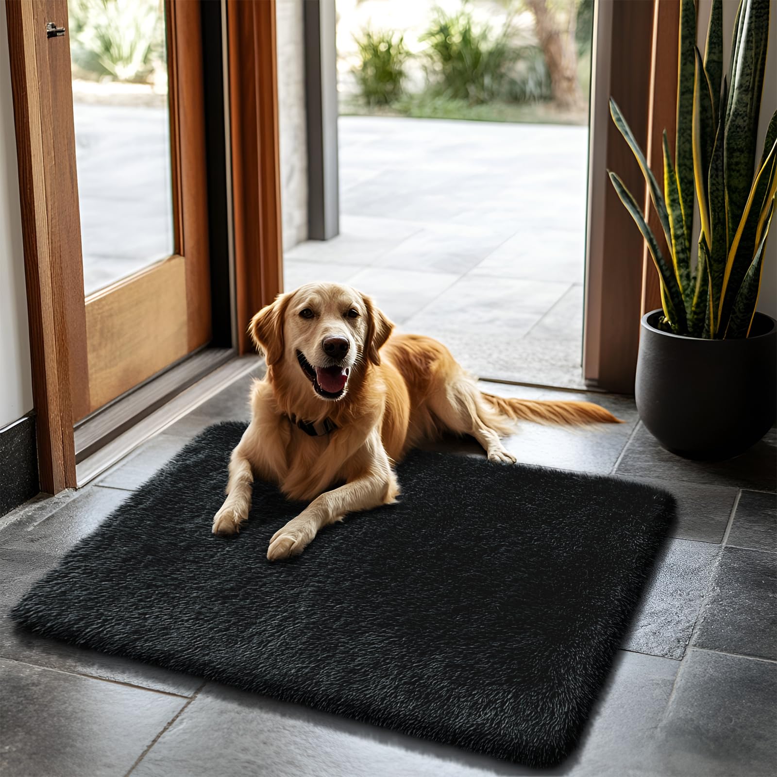 2x3 Fluffy Area Rugs for Bedroom Living Room Small Soft Shag Fuzzy Rug Non-Shedding Indoor Plush Carpet for