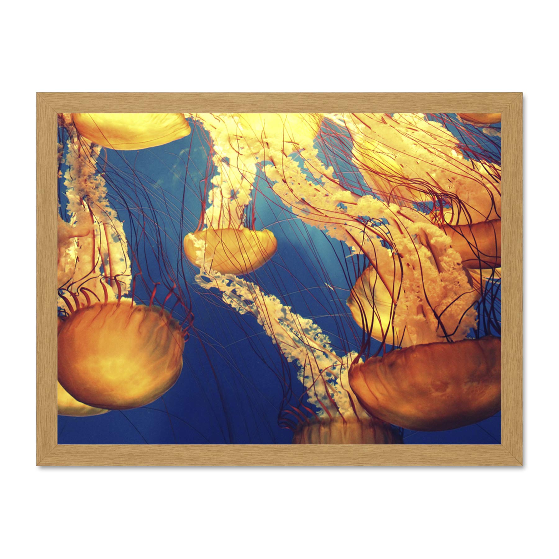 Jellyfish Group Underwater Ocean Large Framed Art Print Poster Wall Decor 18x24 inch