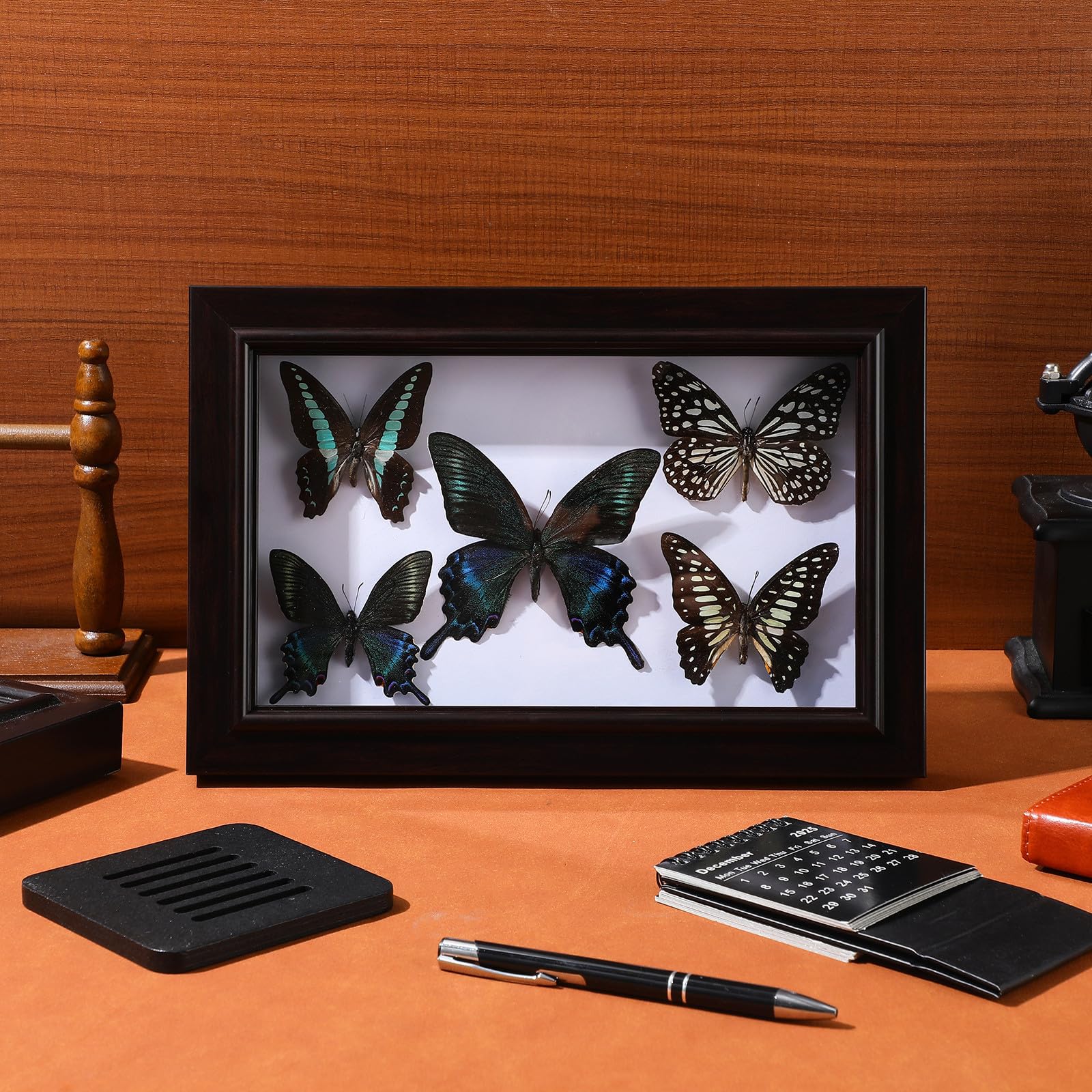 Marco de Muestra de Mariposas en Madera con Acabado Exquisito para Decoración de Pared, Adorno Adecuado para Sala de Estar y Obsequio de Cumpleaños