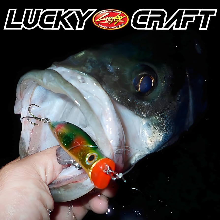 Amazon.co.jp: ラッキークラフト(LUCKY CRAFT)サーフェス