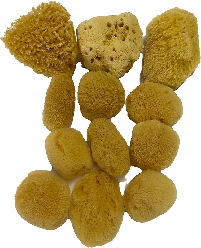 Esponjas naturais de seda marinha Awesome Aquatic para rosto e banho, 12 unidades, 3,81–7,62 cm