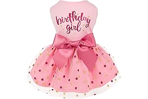 Fitwarm Birthday Girl Tulle Dress for Canine Divas
