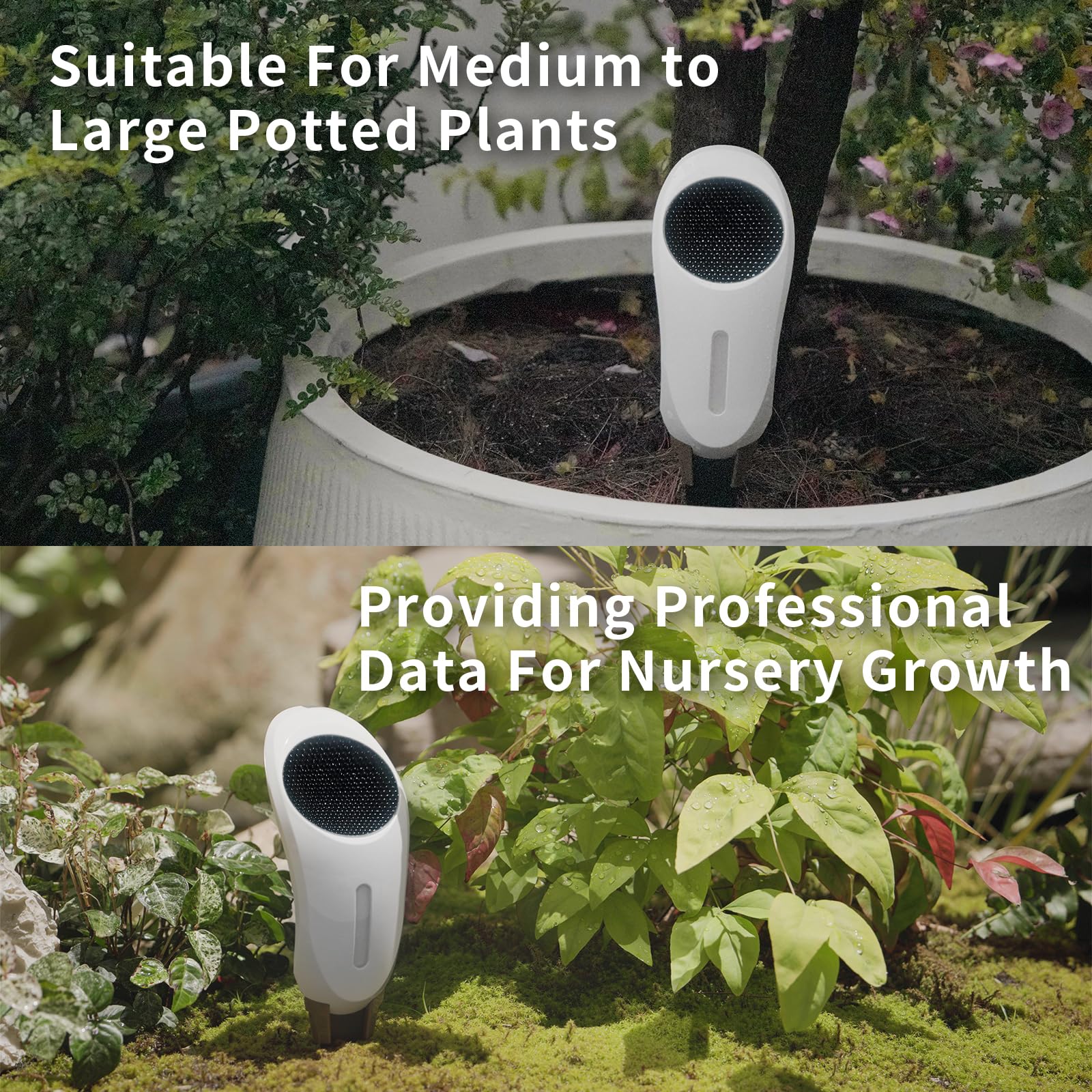 Netro Whisperer - Sensore Intelligente per Piante, connessione WiFi, ad energia Solare, per Uso Esterno