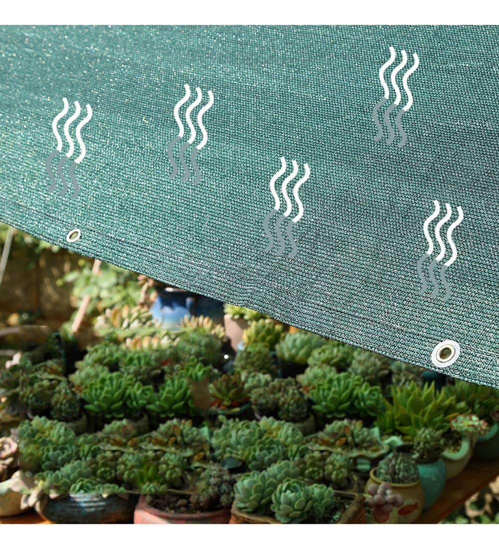 Plantes Succulentes Plante Filet D'ombrage Crème Solaire