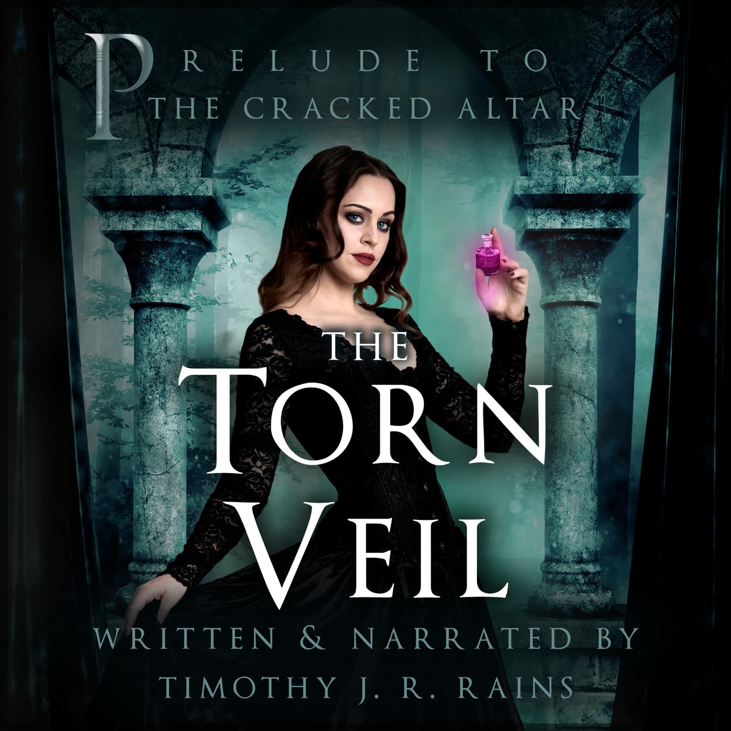 Cover art for The Torn Veil