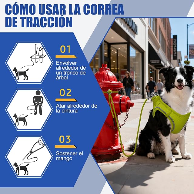 Foto 7 de 7 de Arnés para Gatos con Correa 255cm L (Pecho 45-55cm) Verde Limón