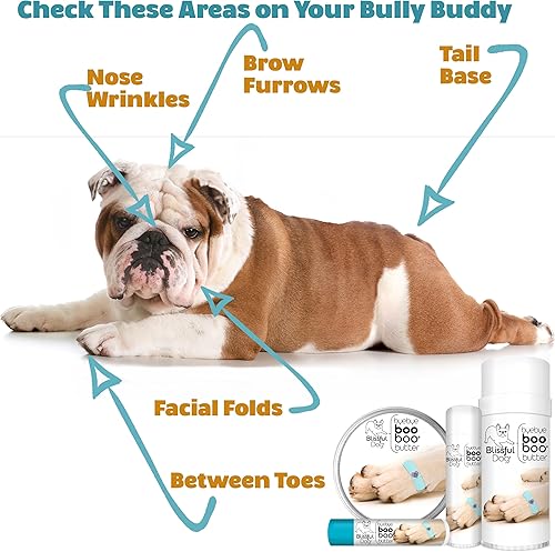 Miniatura 6 de The Blissful Dog Mantequilla Boo Boo para las molestias de tu perro, 2 onzas