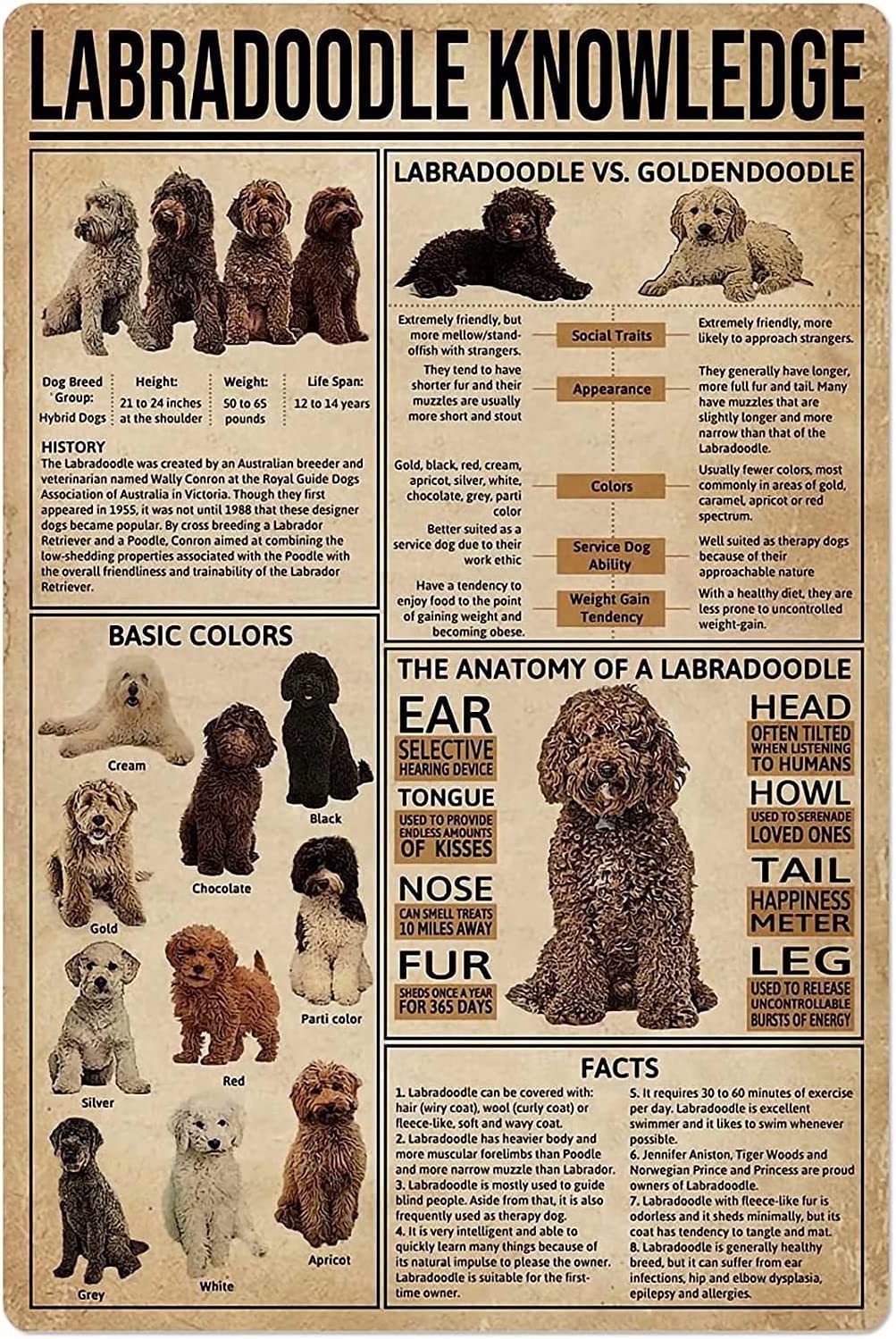 peiyeety Labradoodle Knowledge Metal Sign Anatomy Retro Wall Decor Home School Study Cafes Office Store Pubs Club Cafe Home Bedroom 8" x 12"