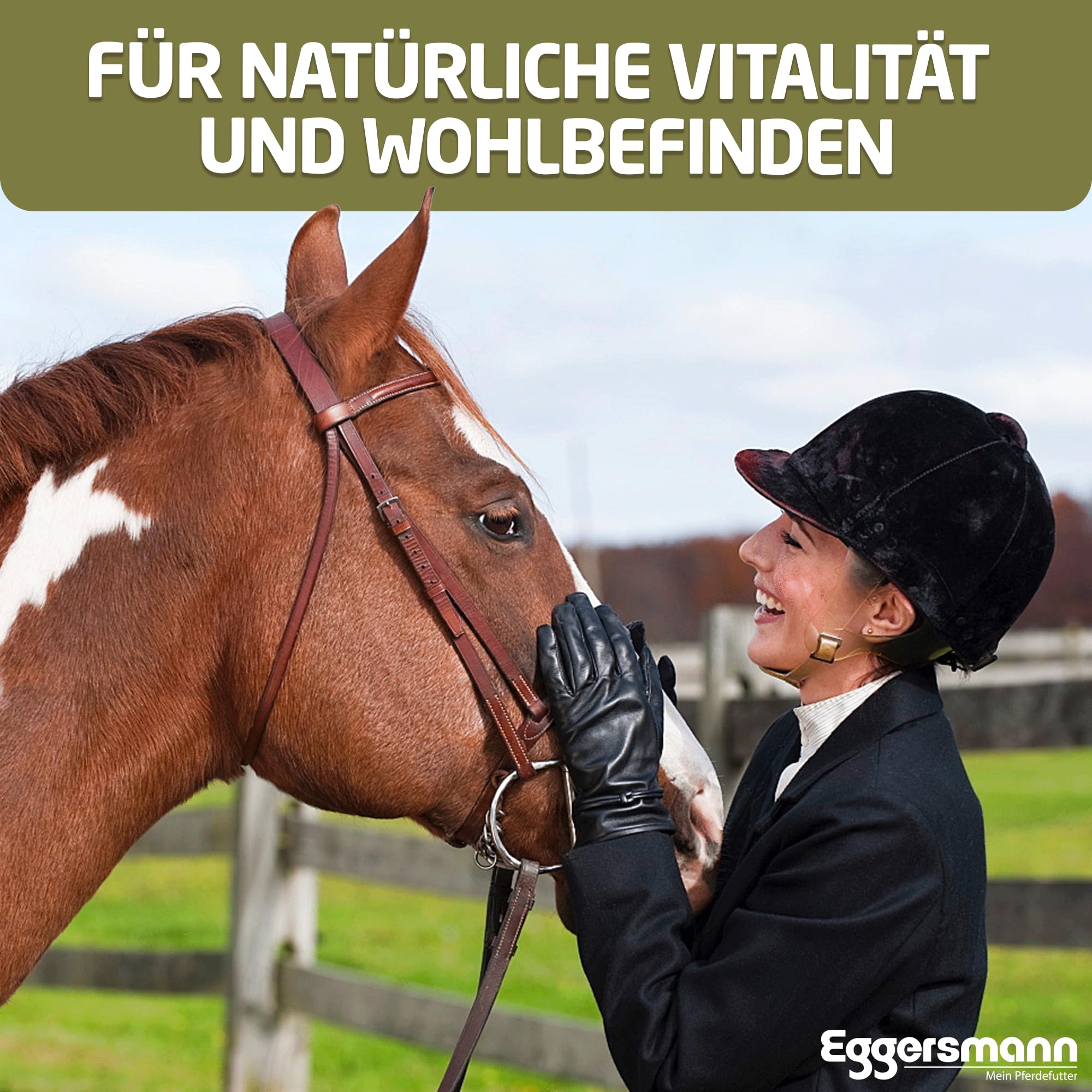 Eggersmann My Horse pienso Combinado en pellets 6 mm 25 kg - pienso Compuesto granulado para Caballos y Ponis - complemento Ideal para la alimentación con Avena y heno
