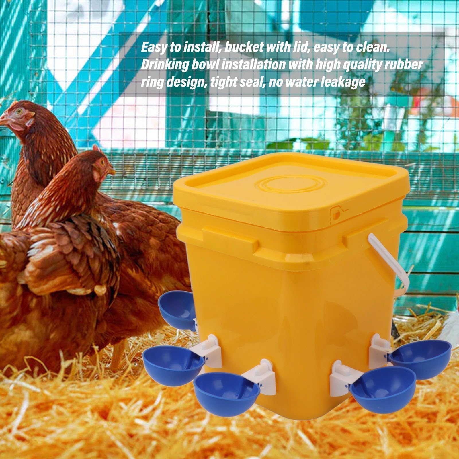 Abbeveratoio Automatico per Pollo Gallinella Fornisce Abbeveratoio per Pollo Mangiatoia e Abbeveratoio per Pollo da 12 Litri per Pollame (Secchio + grande ciotola blu + viti nere)
