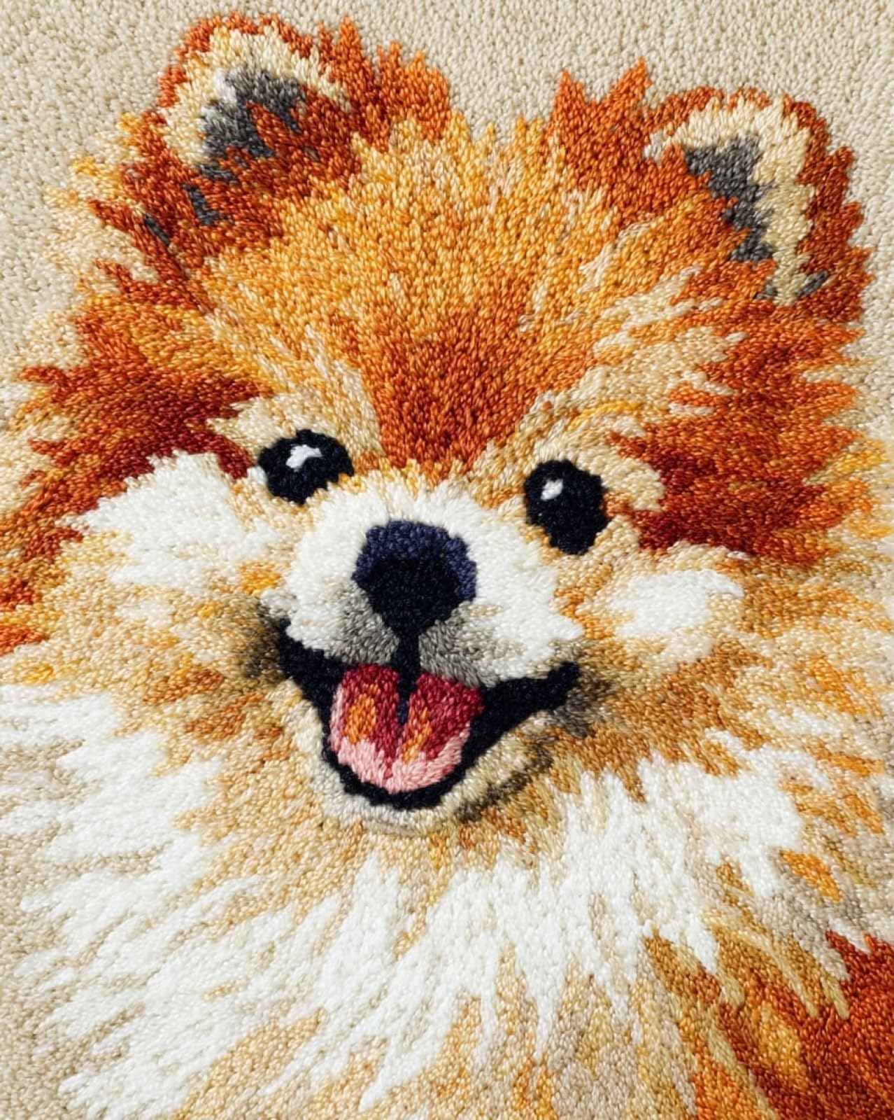 Wallphantom 001 Latch Hook Kits For Adults,Happy Pomeranian,Pre-Printed Canvas Diy Rug Making Kit Crochet Yarn For Kids Beginners,Crafts Carpet For Home Decoration,52X38cm