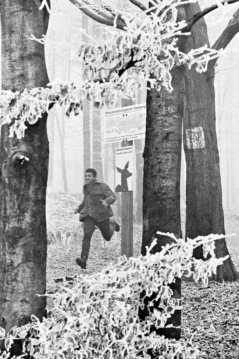 Muhammad Ali, Zürich, 26.12.1971 81GQSkAkmyL.jpg