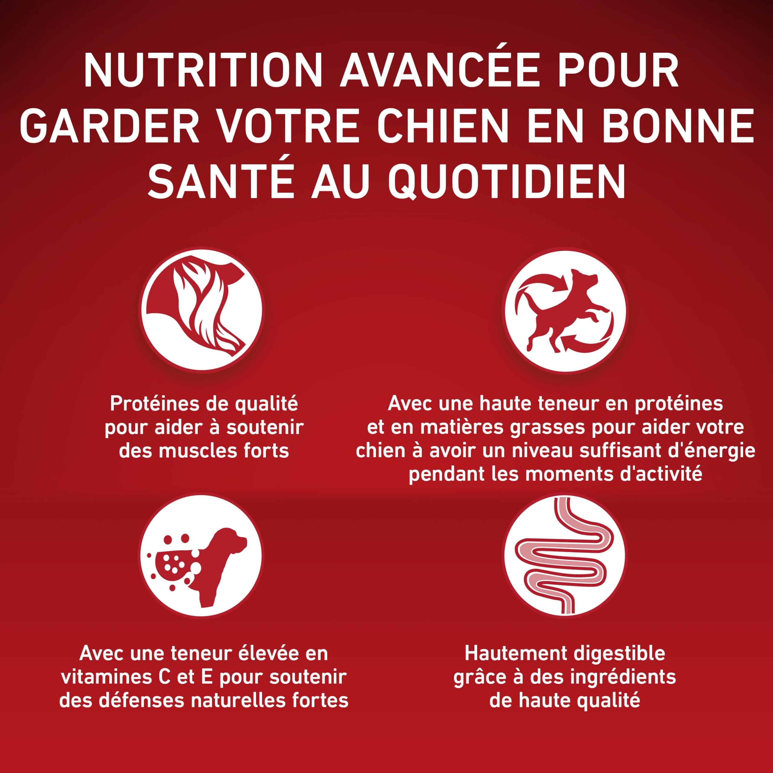 PURINA ONE | MINI | ACTIVE | Croquettes pour Chien Adulte Actif de petite taille, <10 Kg | Protéines de haute qualité pour aider à soutenir des muscles forts | Au Poulet | Sac | Lot de 6 x 1,5 Kg