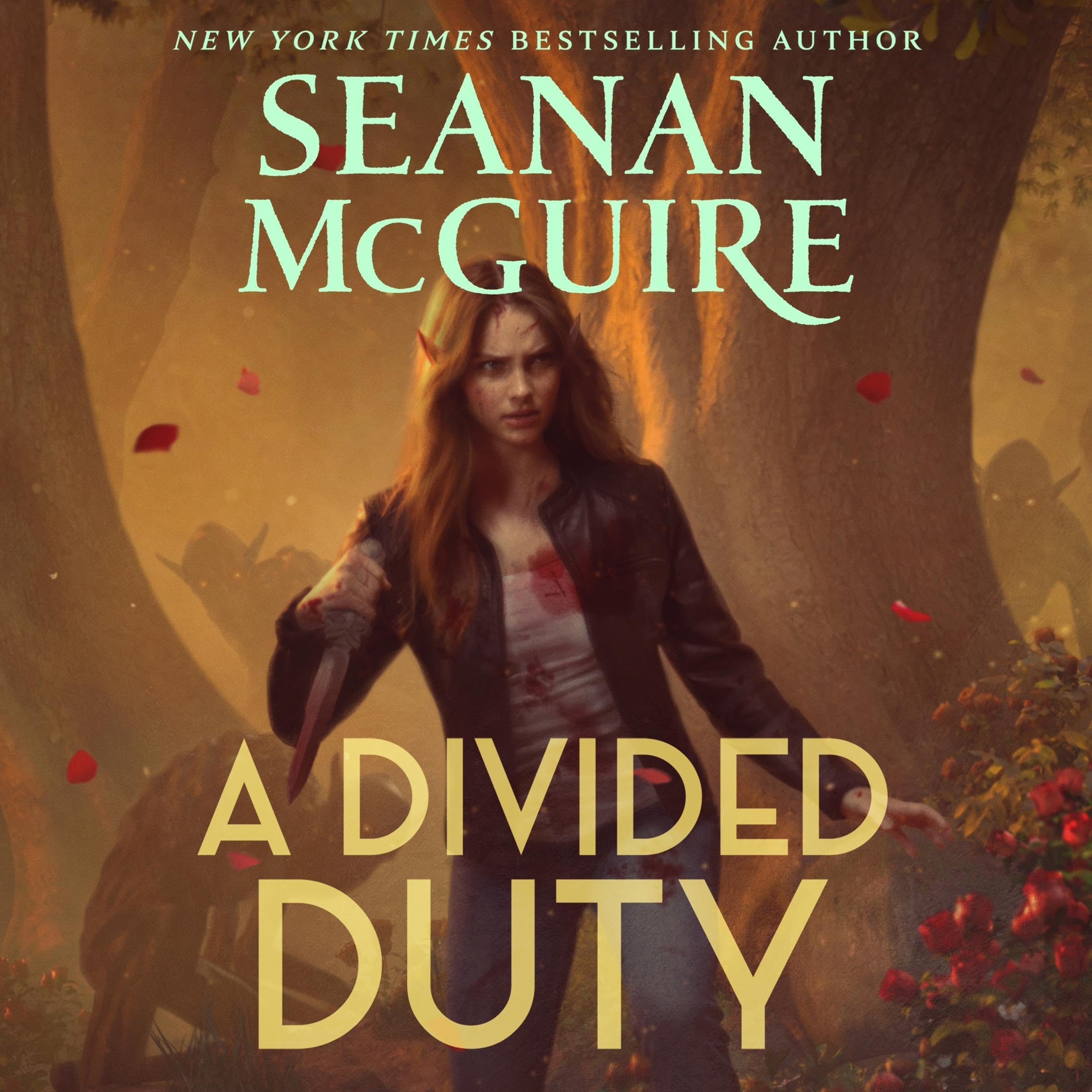 Cover art for A Divided Duty