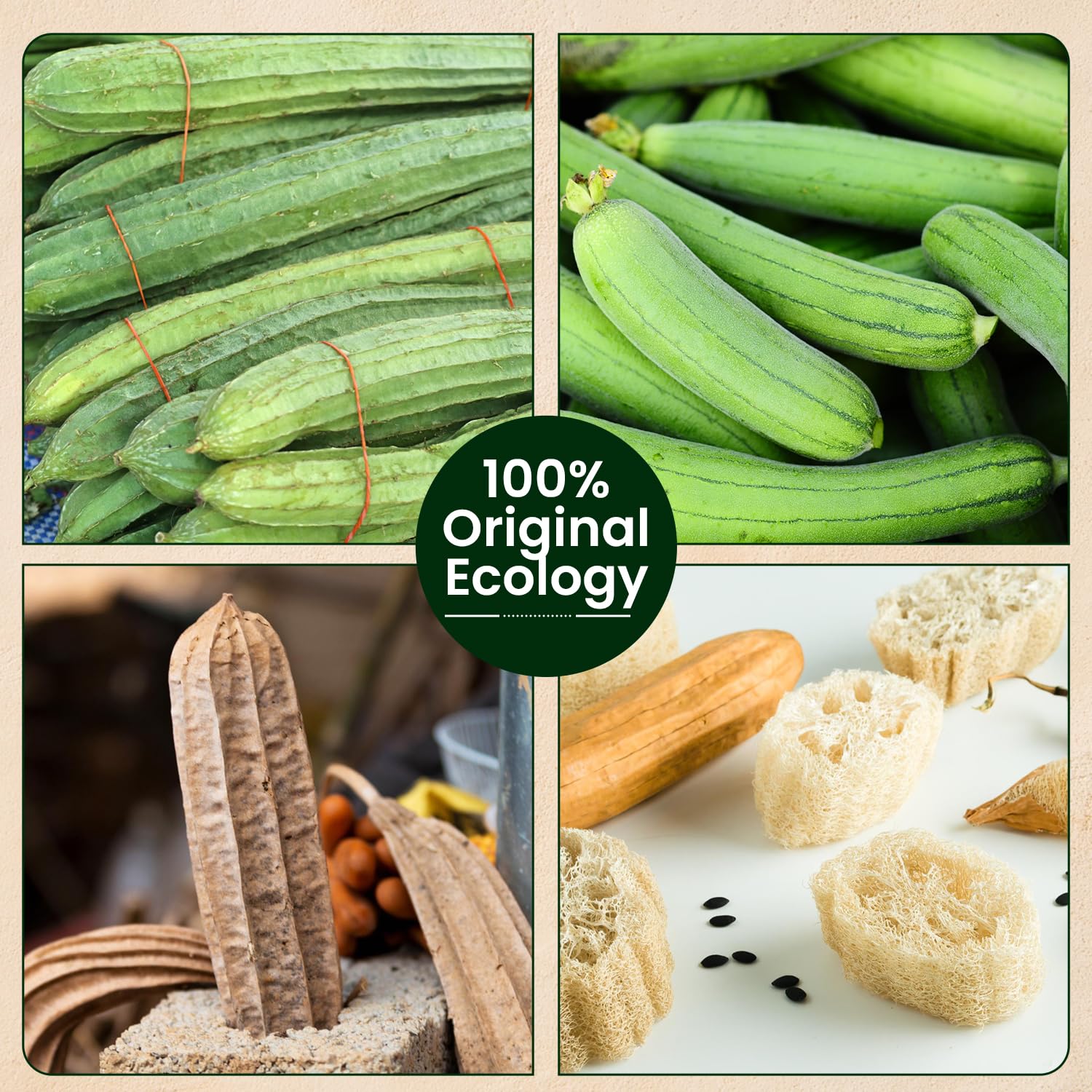 Natürlicher ägyptischer Luffa-Peeling, Körperschrubber (4 Stück) – Bio-Bad-Luffa-Schwamm für tiefenreine Hautpflege – umweltfreundlicher Dusch-Luffa für Damen und Herren – Gesichts-, Rücken- und