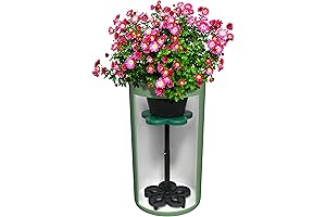 Stylish Indoor Plant Risers for Enhanced Aesthetics