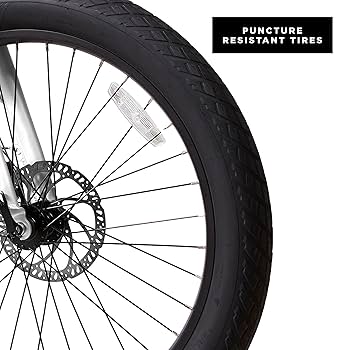 自転車本体 FLYER Amazon.co.jp: ラジオフライヤー フライヤー ロングテール電動