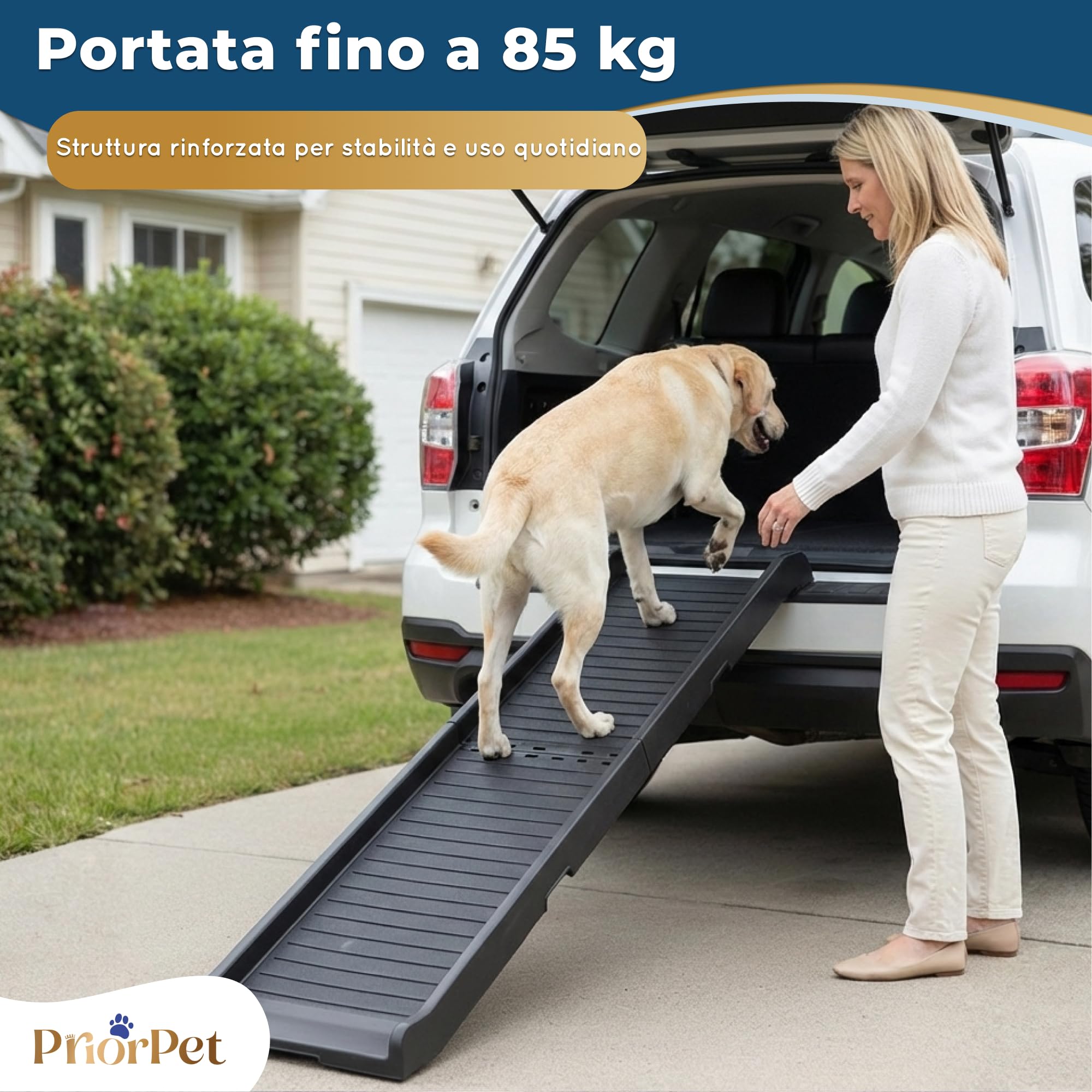 Rampa per Cani per Auto – STABILI – Rampa Antiscivolo in Gomma per Cani di Taglia Grande – 174 cm di Lunghezza & 38 cm di Larghezza – Scale per Cani Fino a 85 kg – Rampa Pieghevole per SUV – Nero