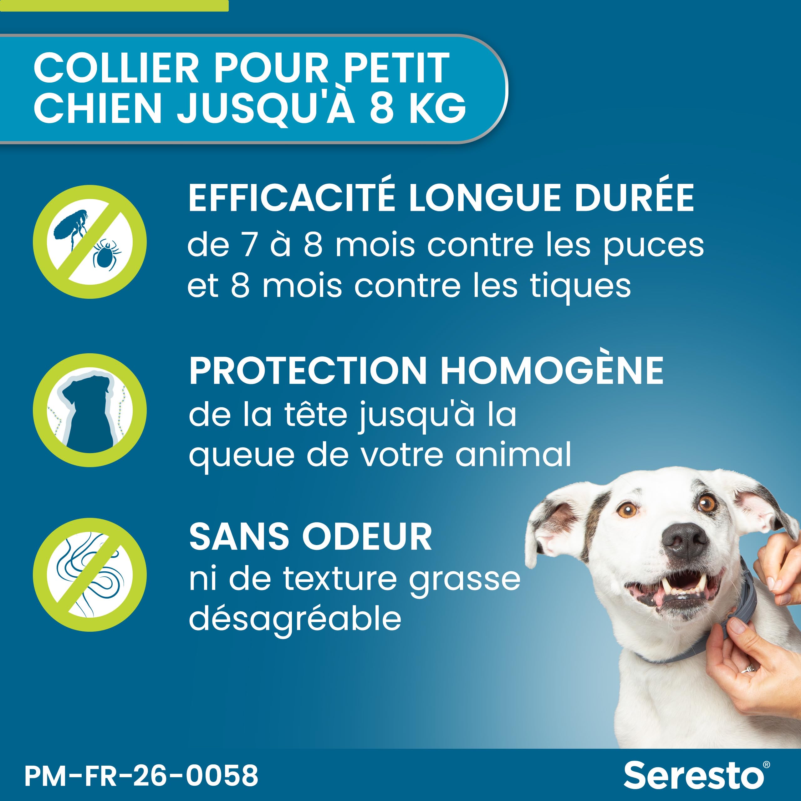 Seresto Collier Petits Chiens – 2 Colliers anti puces et anti tiques longue durée pour petits chiens de moins de 8kg – Protection leishmaniose, tiques, puces continue pendant 7 à 8 mois – Gris