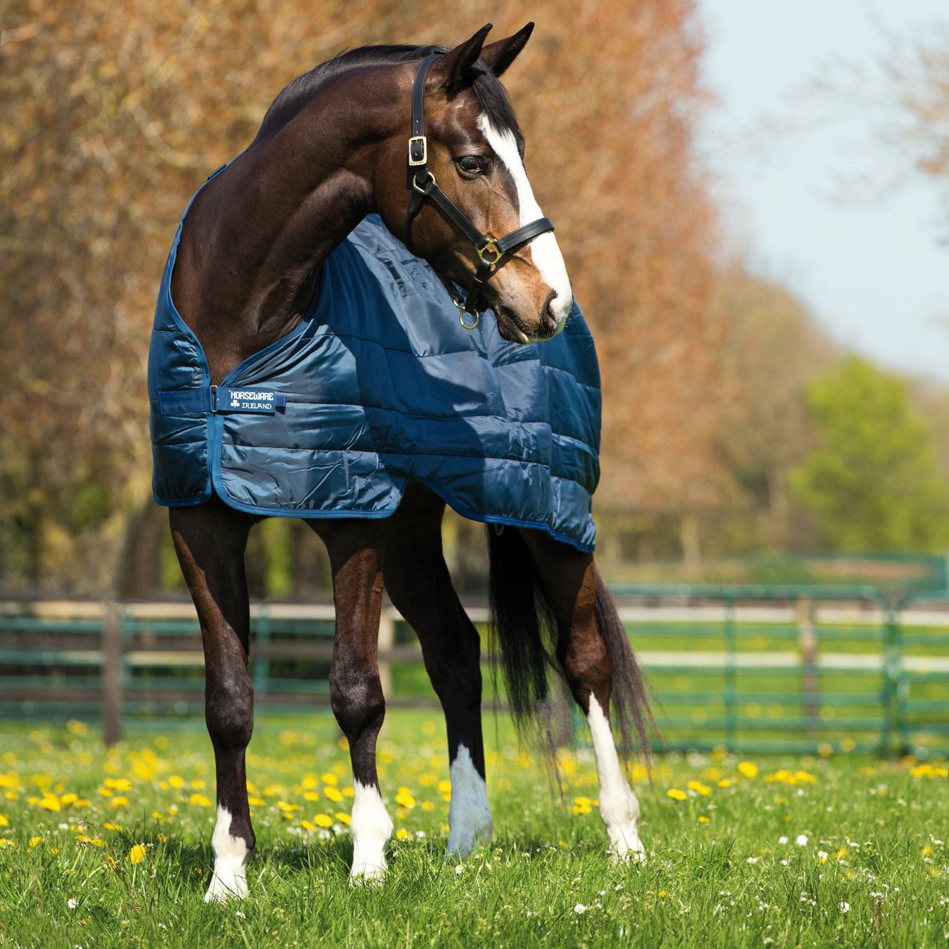 Horseware Ireland Base Liner 200g Attachable Insulation Rug (6'6" (198cm))