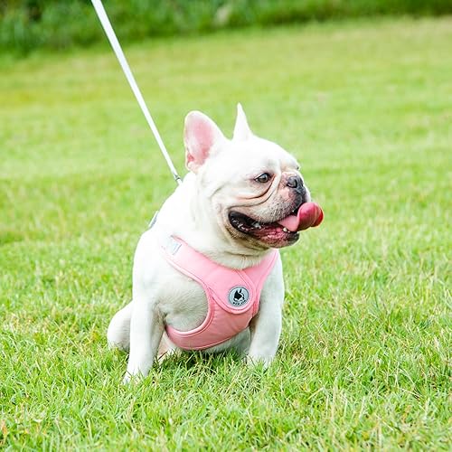 Miniatura 6 de Arnés para perro con correa, arnés sin tirones para mascota con 1 clips para correa, chaleco acolchado suave ajustable para perros pequeños y