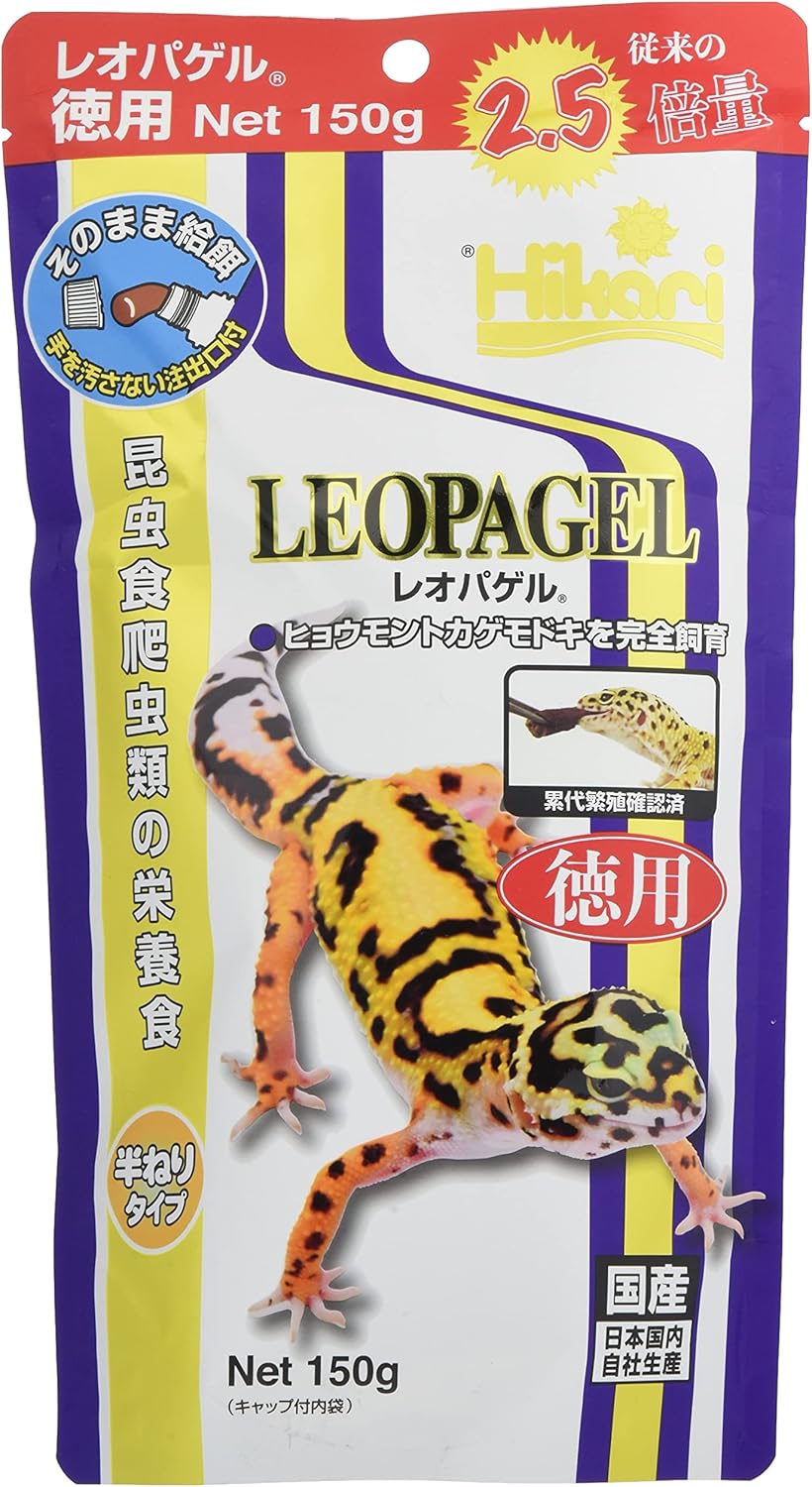 レトロマッチラベル 北欧デザイン 鳥 ヒョウモントカゲモドキ PLUS ver