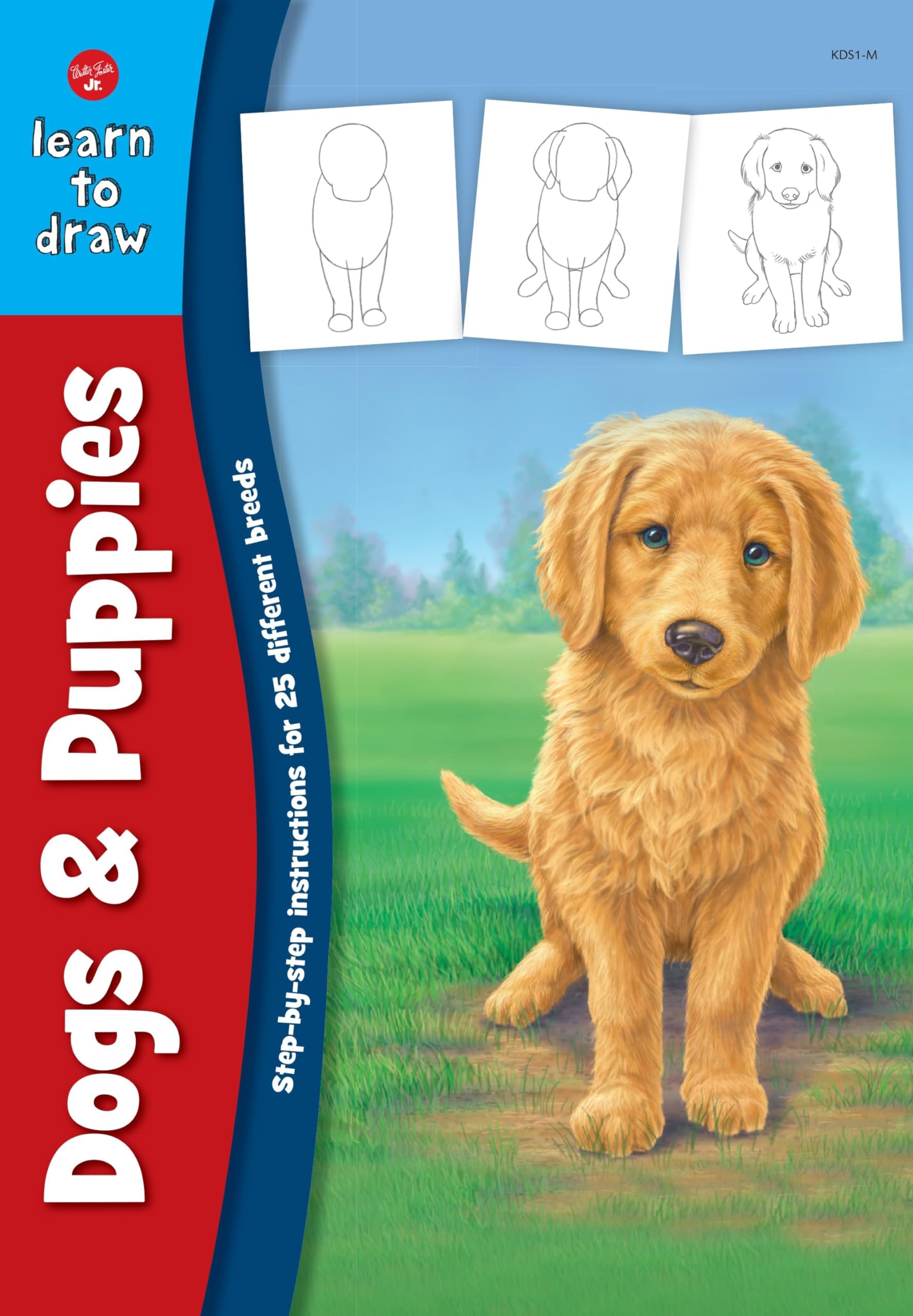 Dogs & Puppies: Step-by-step instructions for 25 different dog breeds (Learn to Draw) Paperback โ May 24, 2000