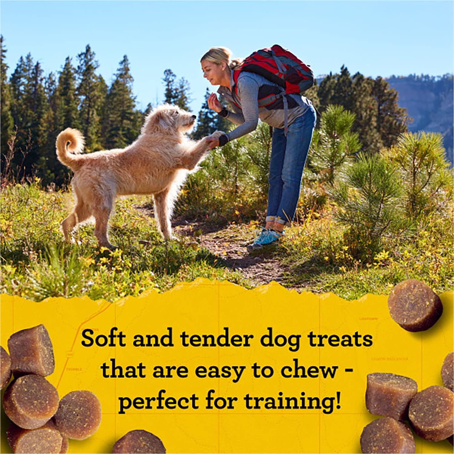 Zuke's Mini Naturals Dog Training Treats, Salmon Recipe, Soft Mini Dog Treats with Vitamins & Minerals, Made for All Breed Sizes, 6 Ounce Bag (Pack of 3)