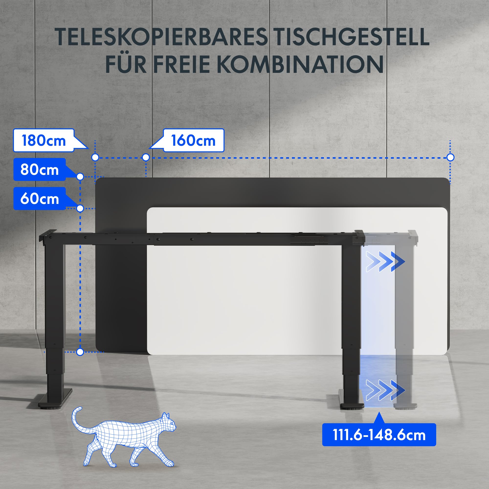 FLEXISPOT Elektrisch Höhenverstellbares Schreibtischgestell mit Dual-Motor & 3-stufigen Säulen, Sitz-Steh-Tisch Rahmen für Homeoffice & Büro, Höhenbereich 60–125 cm, Schwarz EC5-LITE