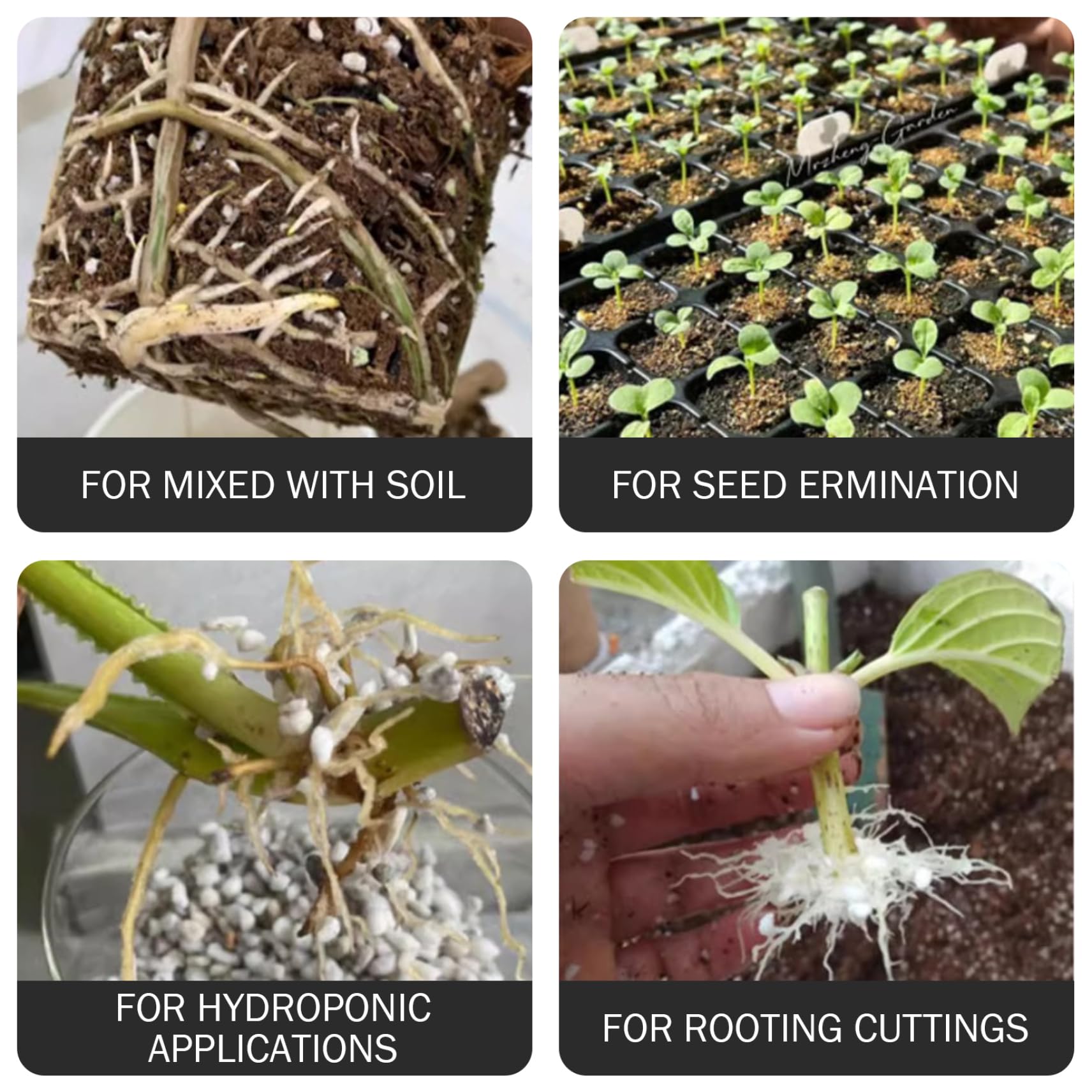 Perlite pour Le Jardinage, 25 L de Gros granulés de 3 à 6 mm, Perlite pour Plantes, amendement Organique du Sol, aération et Drainage améliorés dans Le terreau, Biologique