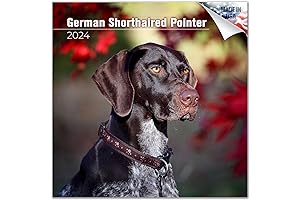 2023-2024 German Shorthair Pointer Calendar: A Dog Lover's Delight!