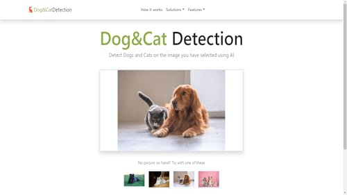 DogCat Detection
