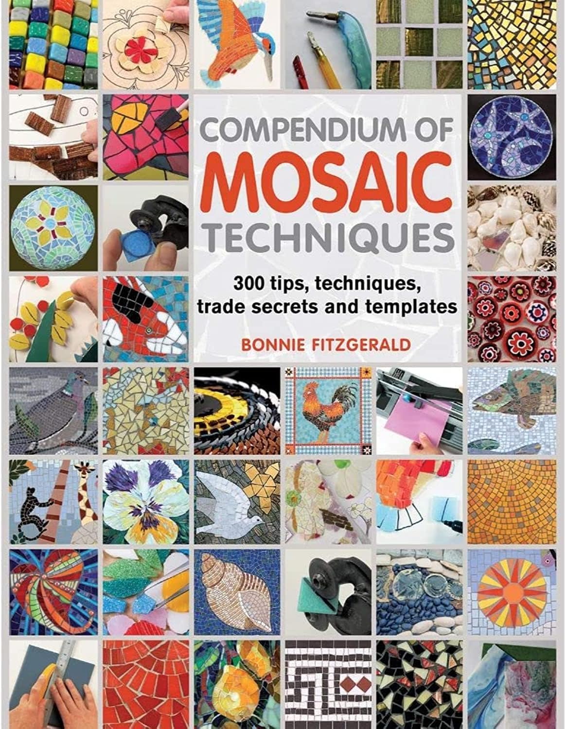 Compendium of Mosaic Techniques: Over 300 Tips, Techniques and Trade Secrets by Bonnie Fitzgerald (2012-08-02)