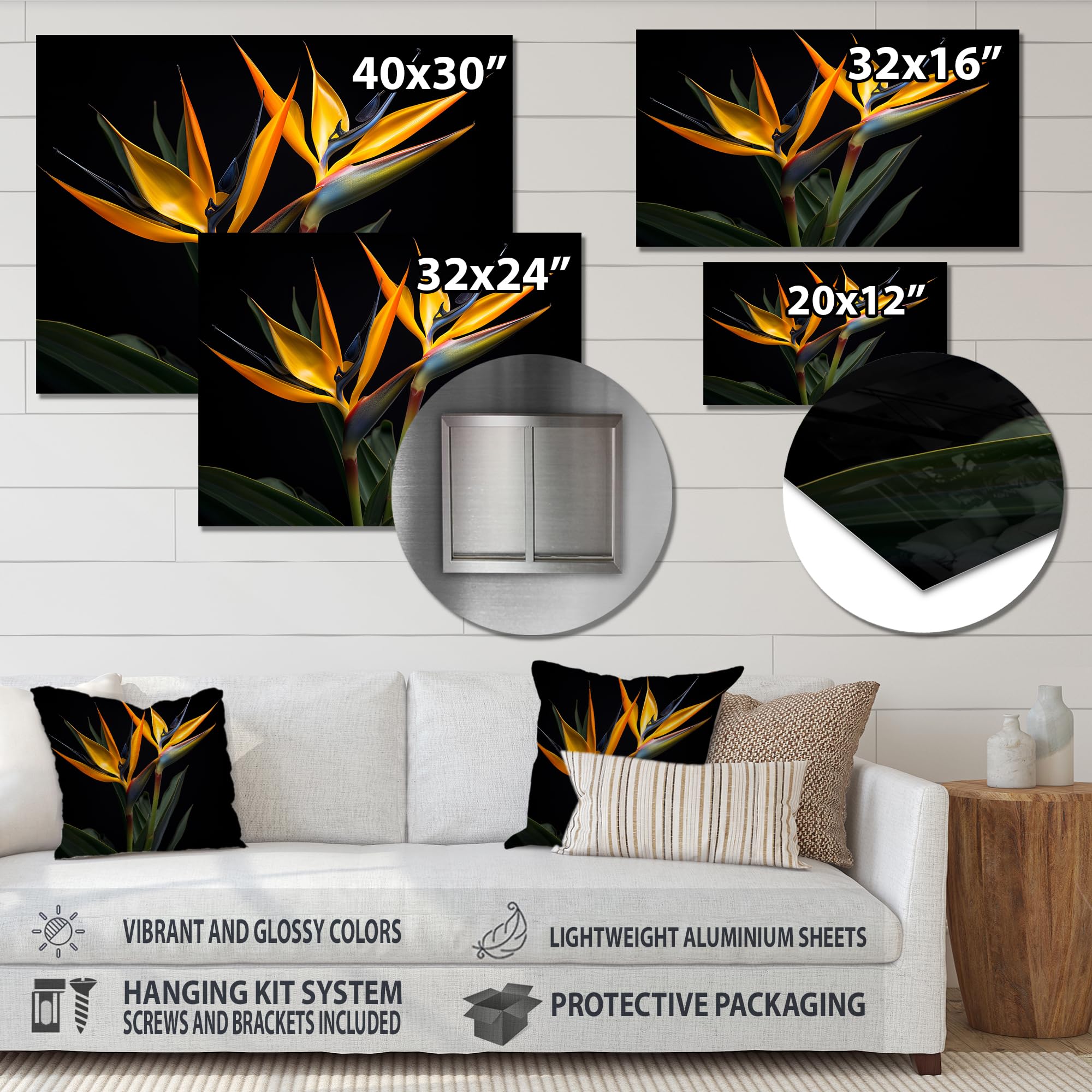 Amazon.com: DesignQ Birds of Paradise Metal wall art decor, Birds
