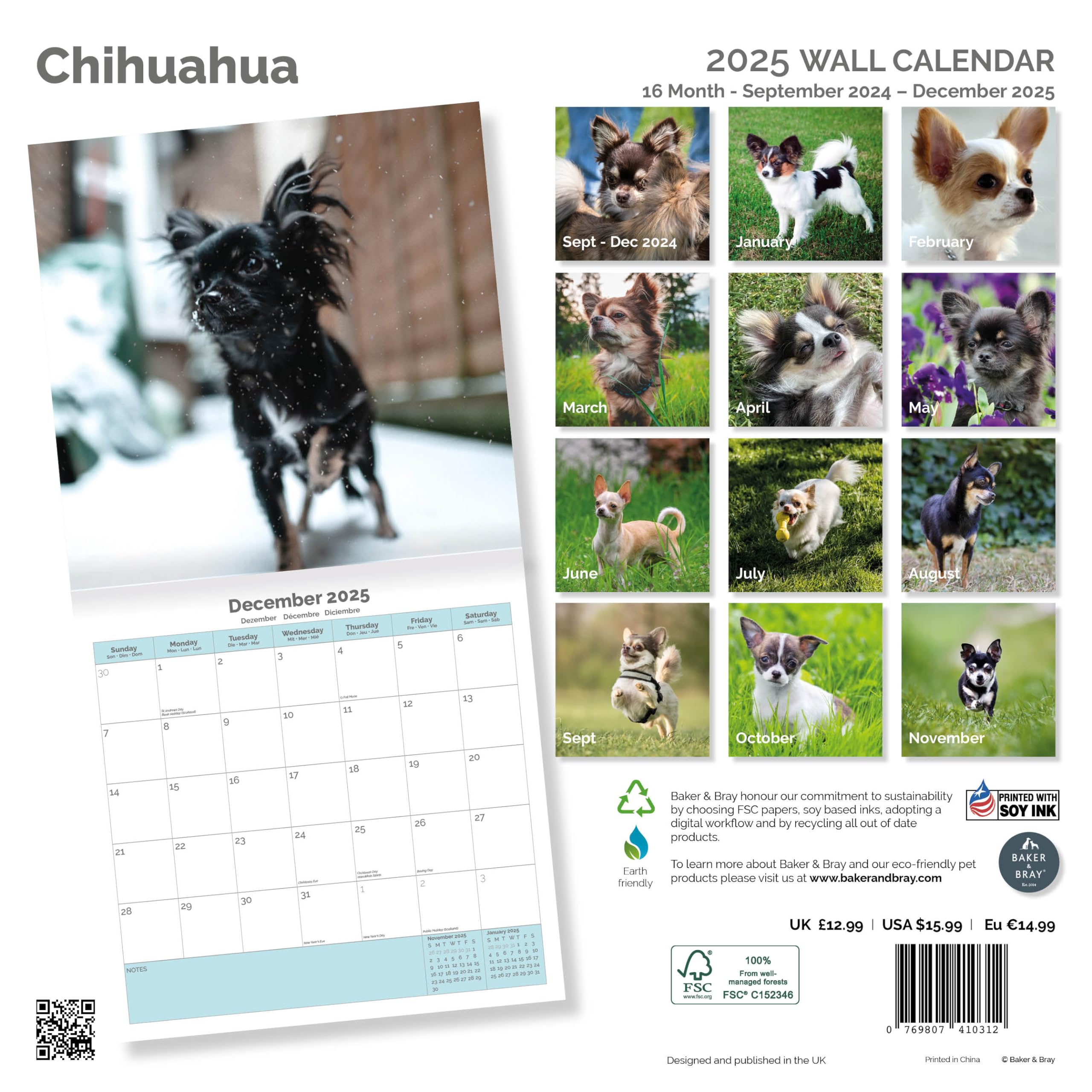 Baker and Bray Chihuahua Calendar 2026, Large Square Wall Calendar With Organisational Stickers, 16 Month, Chihuahua Gift Dog Calendar - Image 2