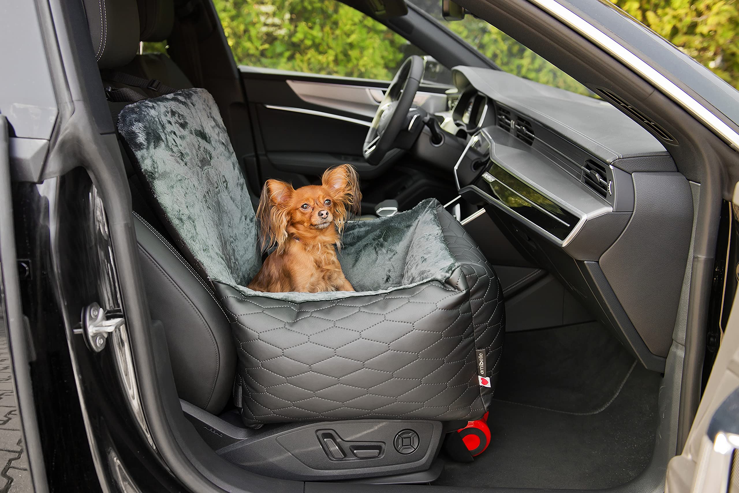 Luxuriös Hunde Auto Sitz - Autositz für Hunde & Katzen, Universal, Waschbar, Schwarz, Kunstleder, 55 x 55 cm