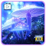 Relaxing Space Screens TV
