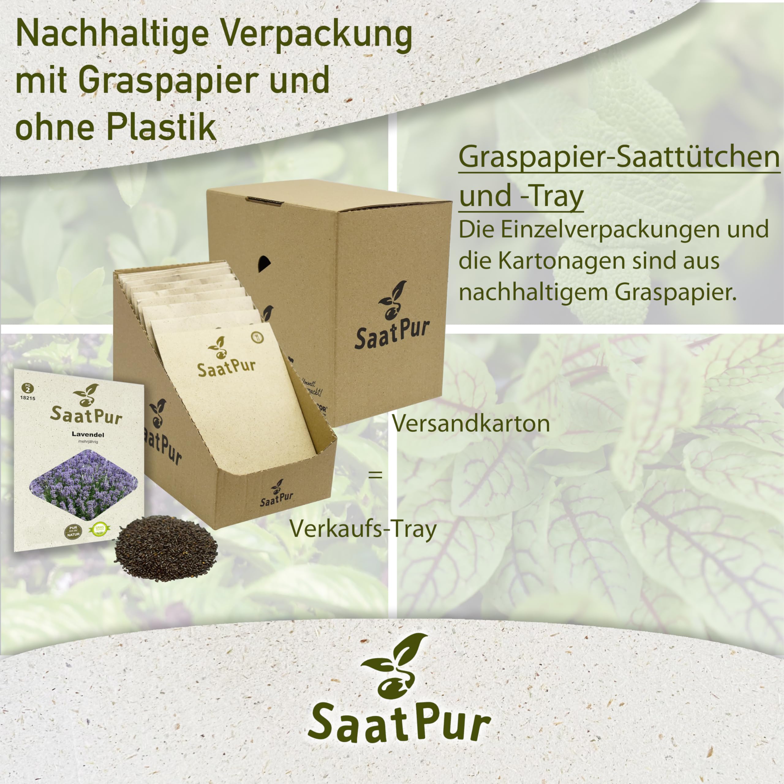 SaatPur Lavendel Samen, Saatgut - Kleines Tray mit 25 Portionstüten für je ca. 100 Pflanzen