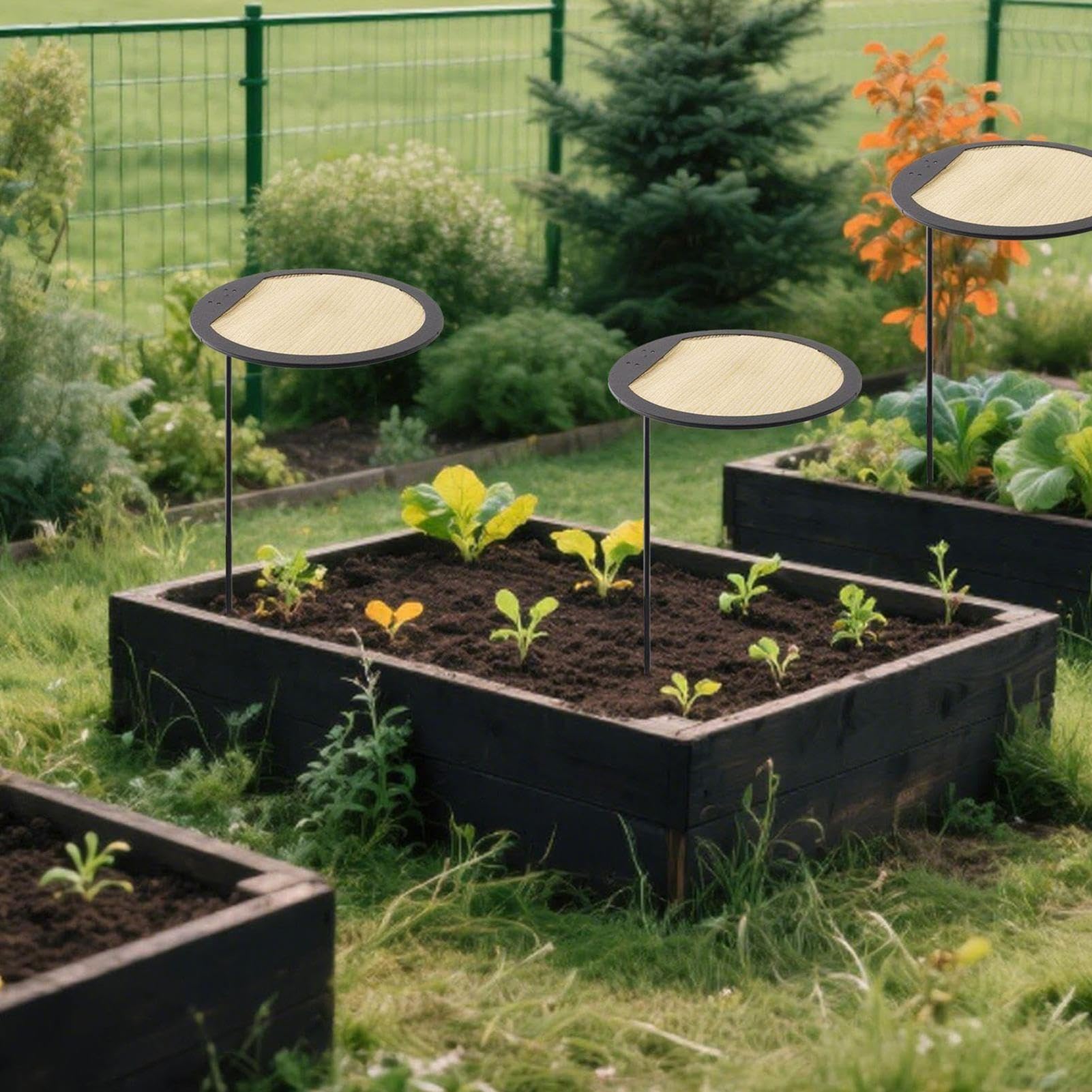 Générique Pflanzenschutz Netz | 3 Stück Gartenschirme Set, Ausziehbarer Wetterfester Schattenspender Für Garten Balkon Terrazza Poolbereich Und Hof