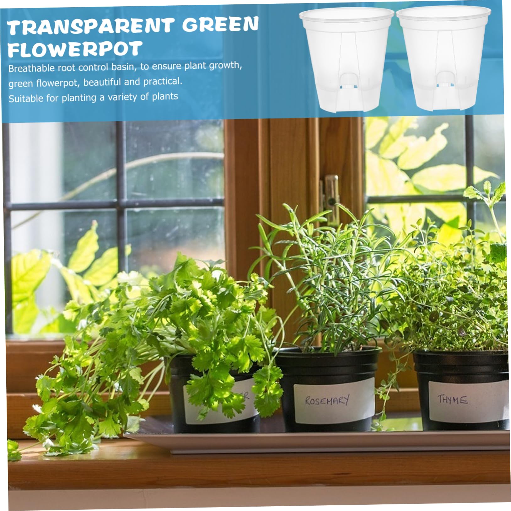 6pièces Pots De Fleurs Transparent avec Drainage Automatique Pots De Plantes pour Intérieur pour Orchidées Et Plantes Intérieur
