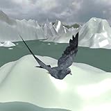 Pigeon Fly Sky Snow games 3d