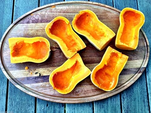 Miniatura 3 de Calabaza Butternut Honeynut 20 semillas de tamaño más pequeño mayores rendimientos que los Butturnuts