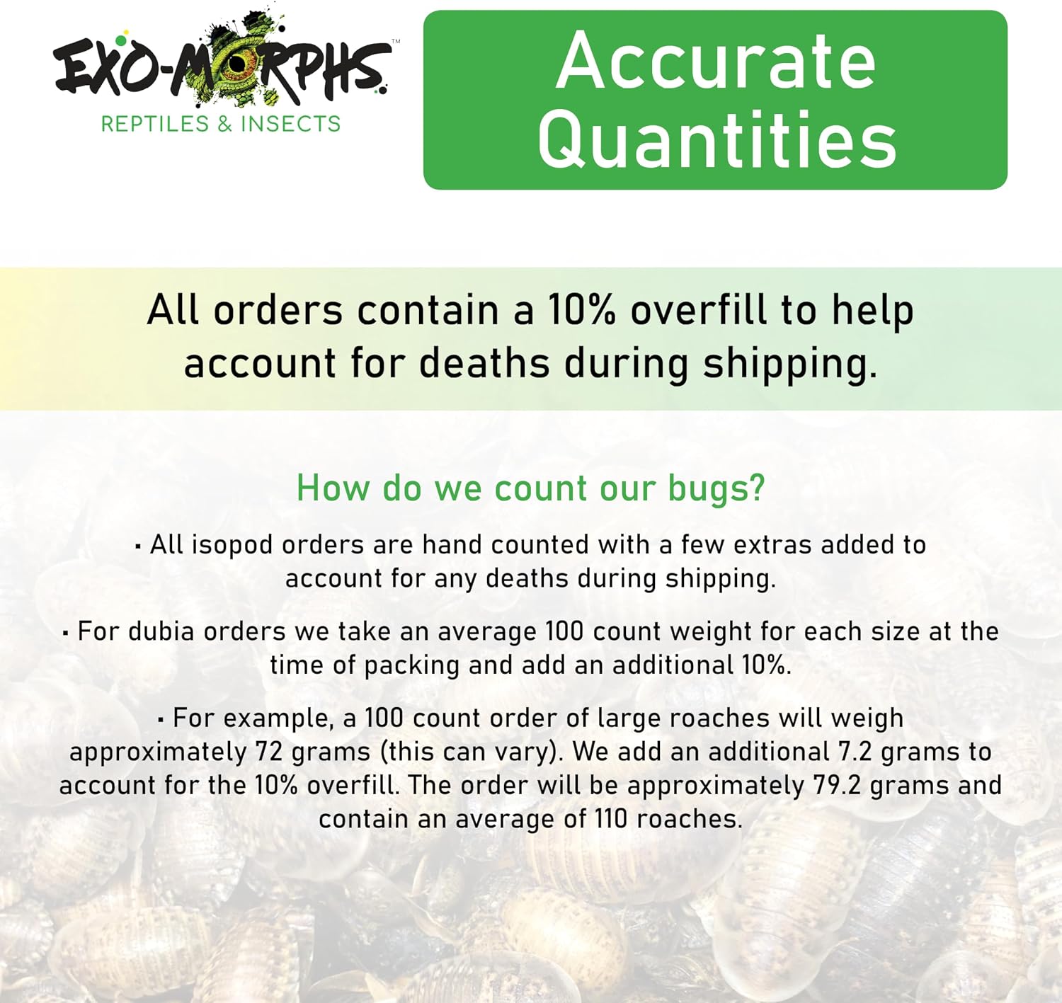 Live 25 ct. Powder Orange Cream Isopods - Porcellionides pruinosus - Live Arrival Guaranteed