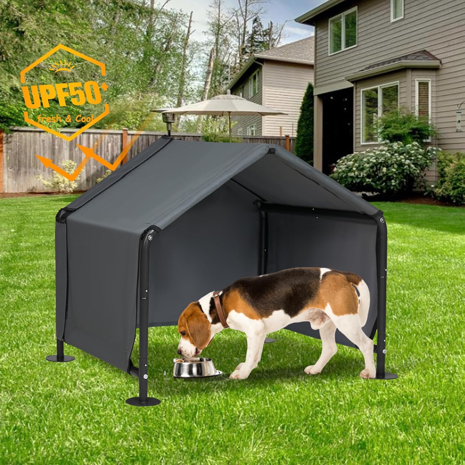 Cool Comfort: The Ultimate Outdoor Dog Shades for Happy Pups