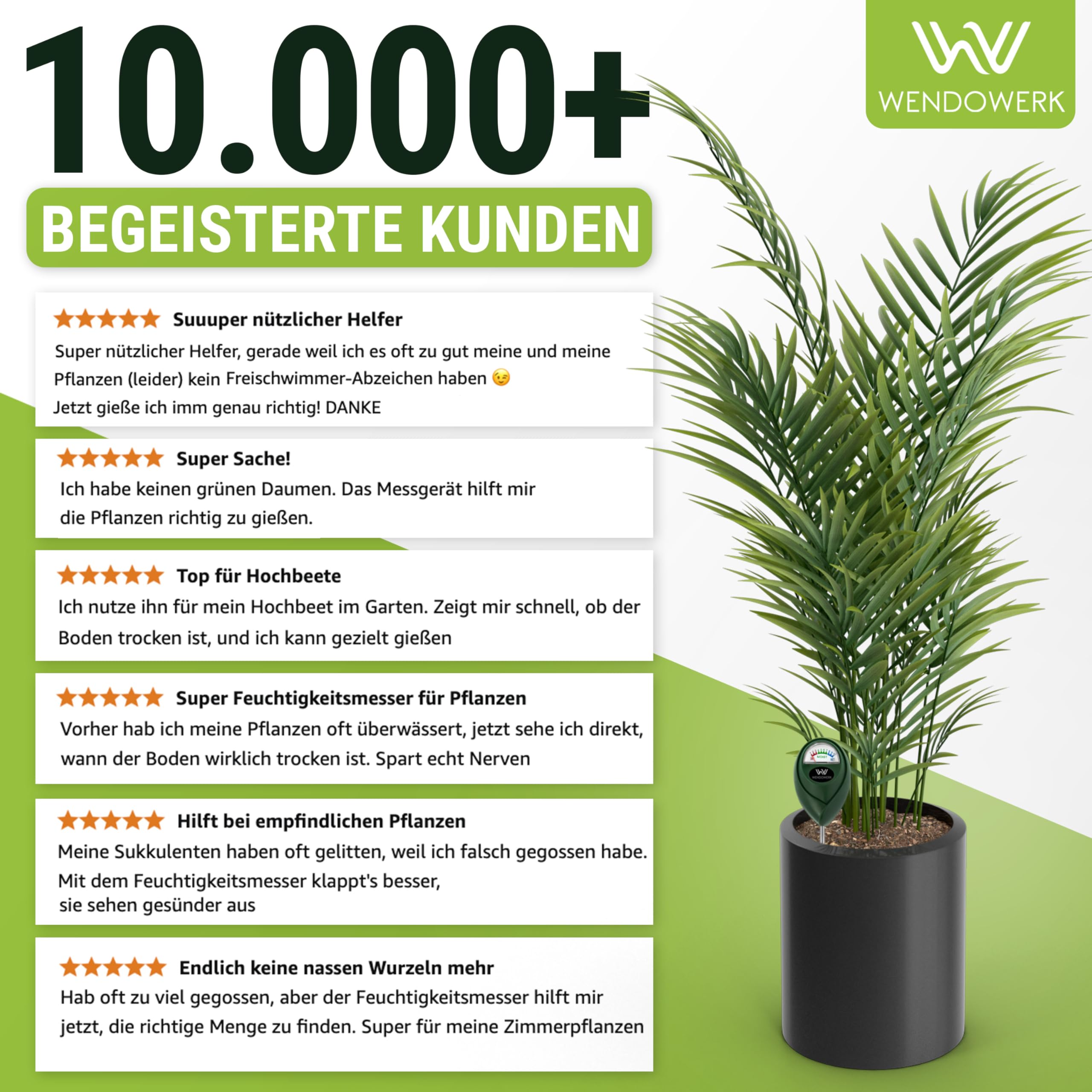 WENDOWERK Lot de 2 humidimètres extra longs pour plantes 40 cm [Noir/Noir] – Sans piles – Testeur d'humidité amélioré [2025] – Testeur de sol de qualité supérieure